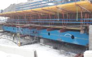 scaffold